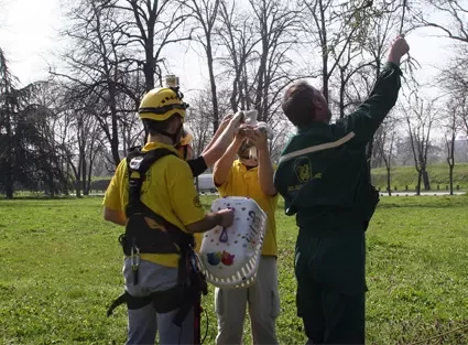 nacionalne_sluzbe_card